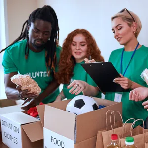 Non Profit Organizations Original