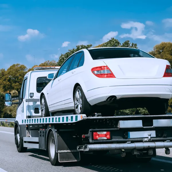 Protect Your Vehicles Original