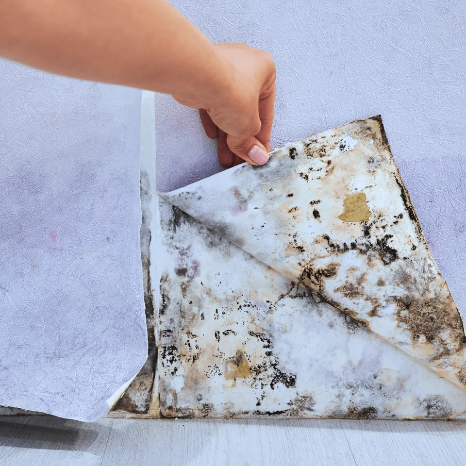 What Does Flood Insurance Cover Original